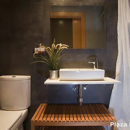 Apartment Plaza Espana